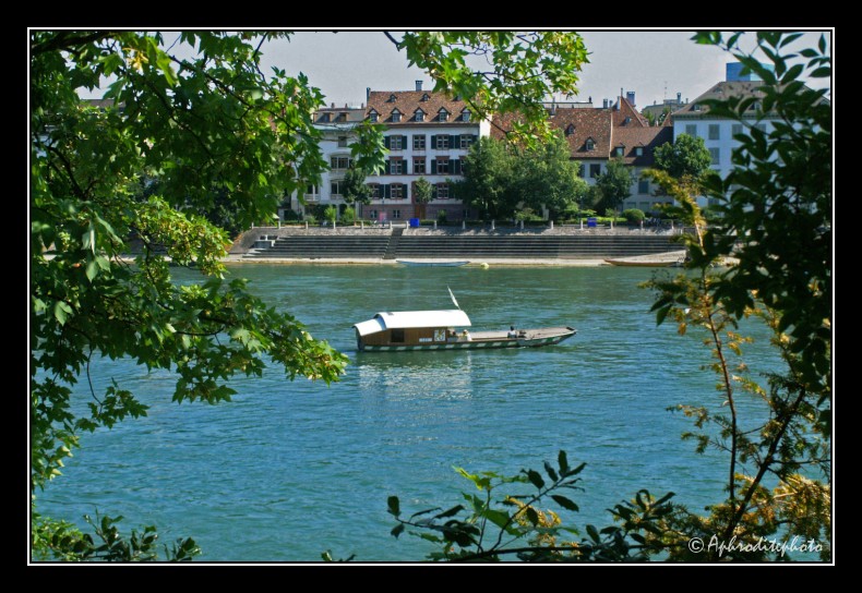20 Rheinfähre